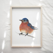 Cute Bluebird Watercolor Art Print