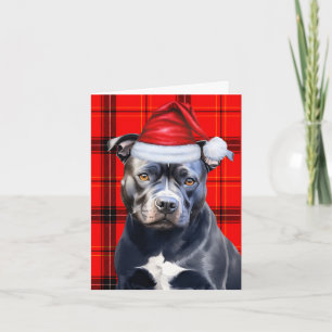 Cute Bluenose Pitbull Santa Dog Red Plaid Holiday Card