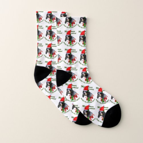 Cute Bluetick Coonhound Santa Christmas Socks