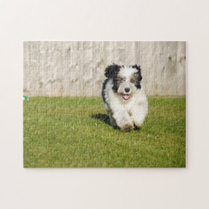 Cute Bobtail Sheepdog Jigsaw Puzzle