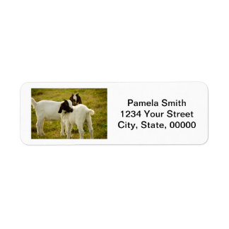 Cute Boer Goats Personalize Return Address Label