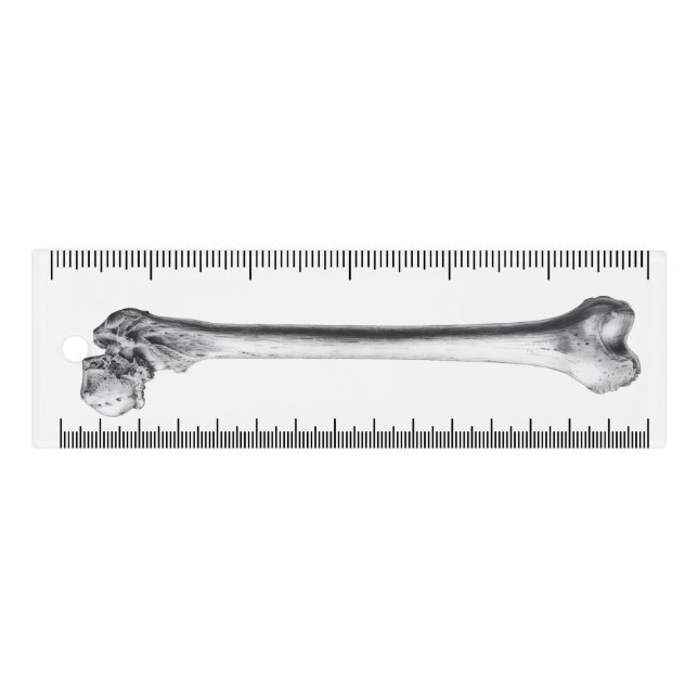 Cute Bones collection Ruler (Front)