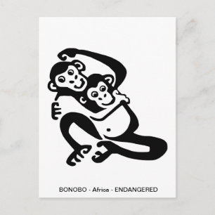 Cute BONOBO- Chimpanzee - Primate - Ape - Postcard