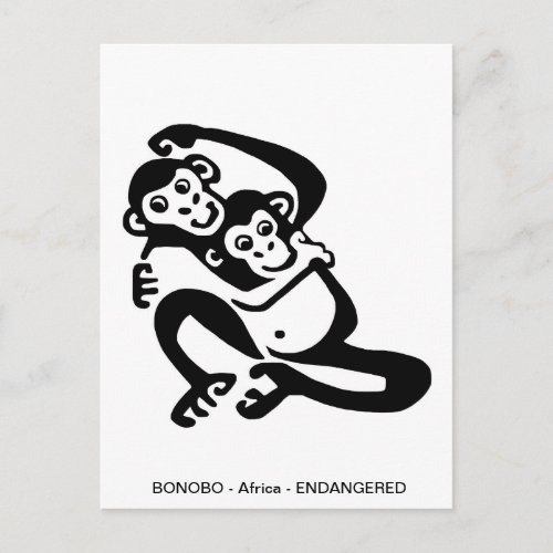 Cute BONOBO_ Chimpanzee _ Primate _ Ape _  Postcard