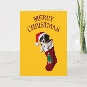 Cute Border Collie Christmas Card