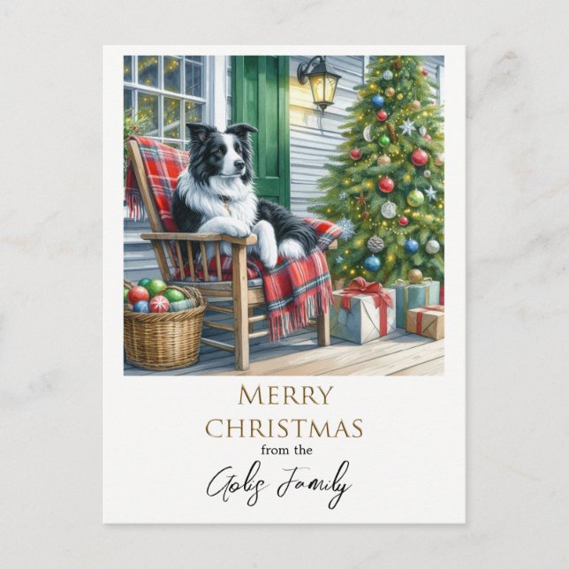 Cute Border Collie Christmas Holiday  Postcard (Front)