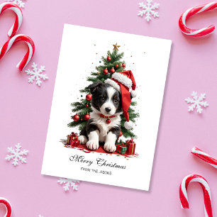 Cute Border Collie Christmas Puppy Personalized Holiday Card