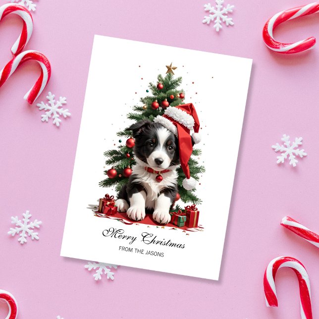 Cute Border Collie Christmas Puppy Personalized Holiday Card (Cute Border Collie Christmas Card)