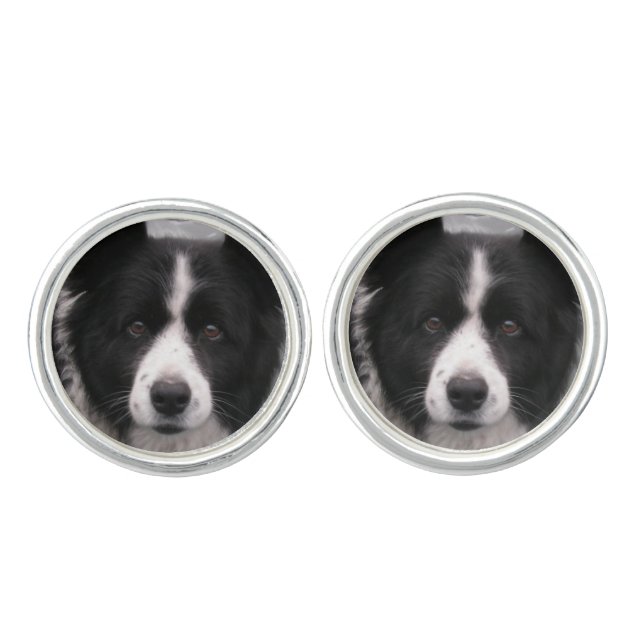 Cute Border Collie Cufflinks (Front)