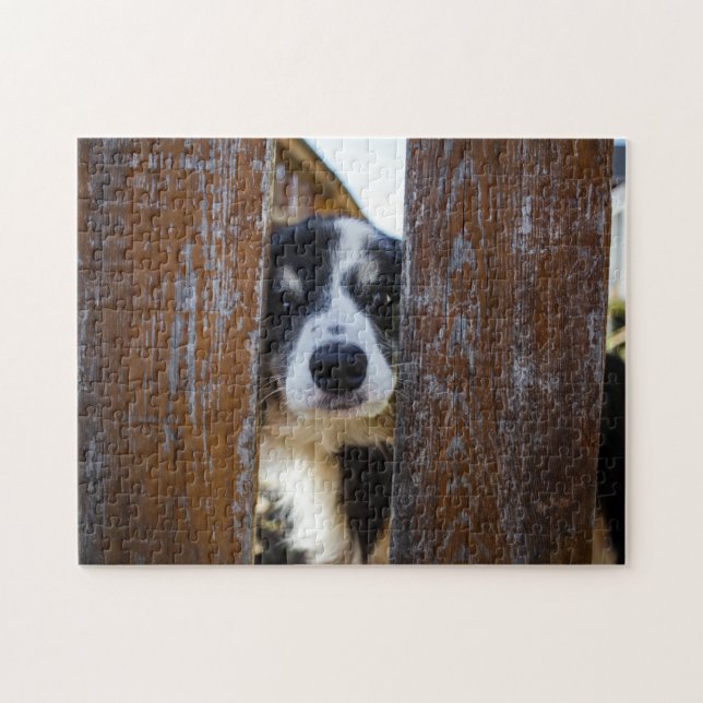 Cute Border Collie Dog  Portrait Jigsaw Puzzle (Horizontal)