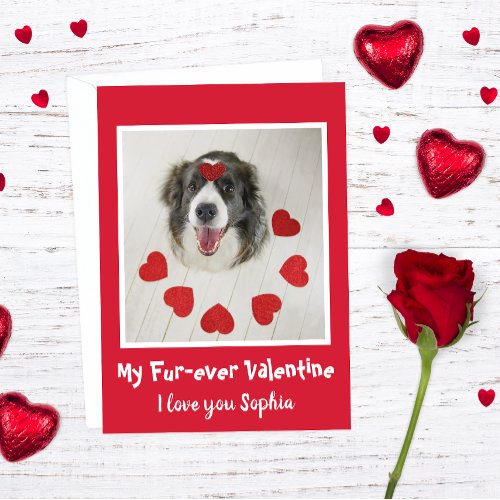 Cute Border Collie dog Valentines day love hearts Holiday Card