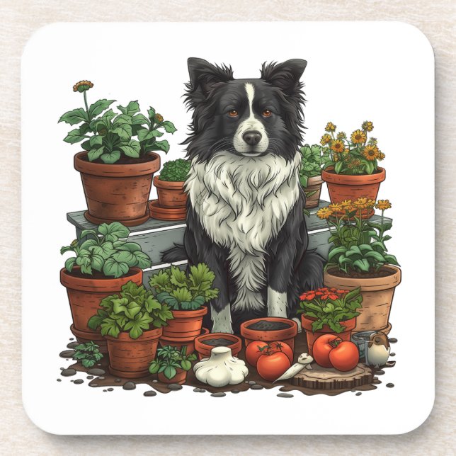 Cute Border Collie Gardening Beverage Coaster (Front)