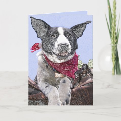 Cute Border Collie Mix Dog Sketch Art Custom Card