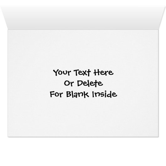 Cute Border Collie Puppies Animal (Inside Horizontal (Bottom))