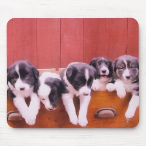 Cute Border Collie Puppies Mouse Pad