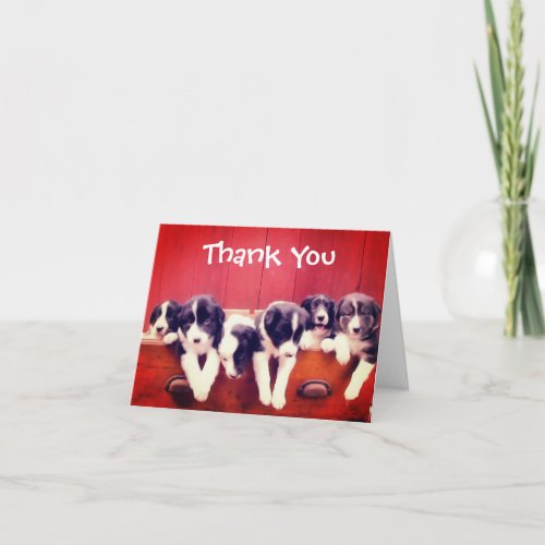 Cute Border Collie Puppies Thank You Card
