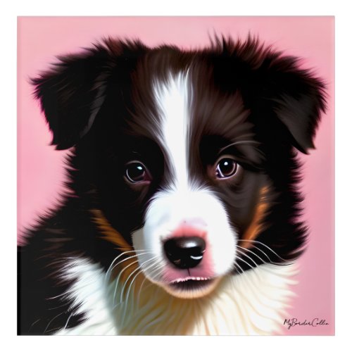 Cute Border Collie Puppy Dog Portrait Pet Keepsake Acrylic Print