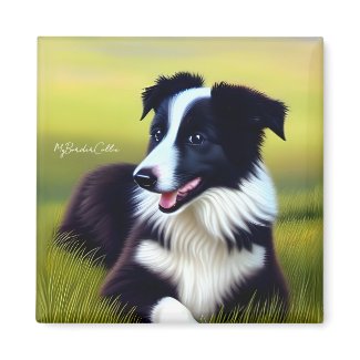 Cute border collie puppy grassland oil painting magnet