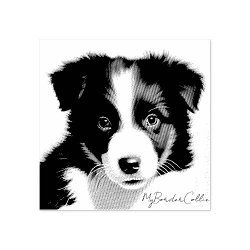 Cute Border Collie Puppy Portrait Pet Keepsake Rubber Stamp