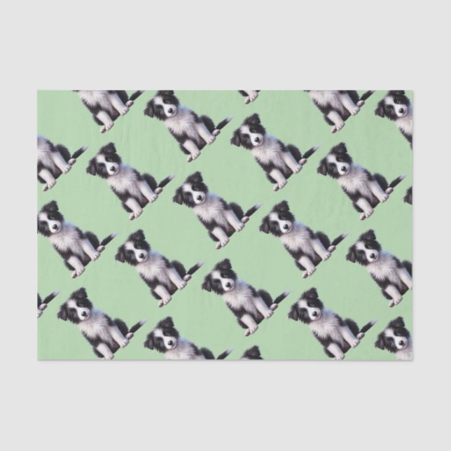 Cute Border Collie Puppy Tissue Paper (Front)