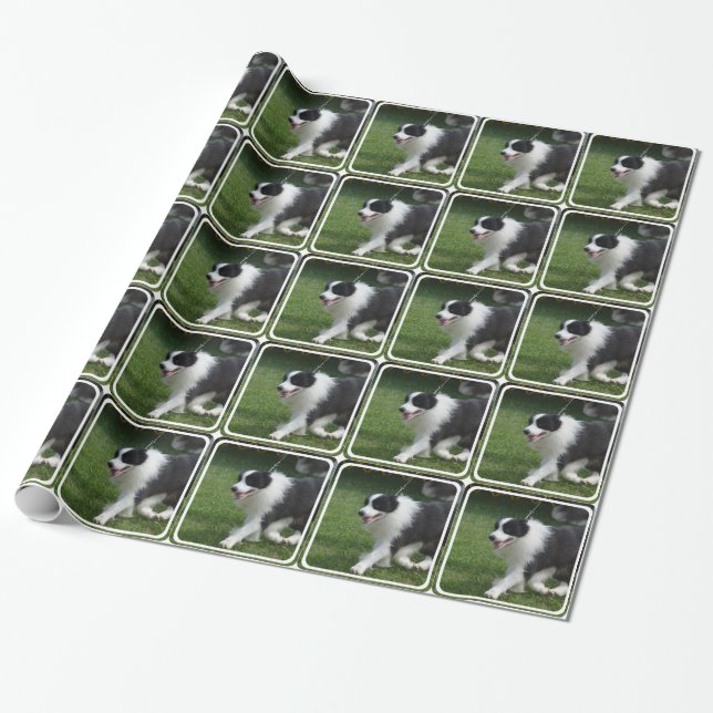 Cute Border Collie Puppy Wrapping Paper (Unrolled)