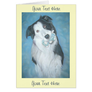 cute border collie teddy dog portrait art design cards
