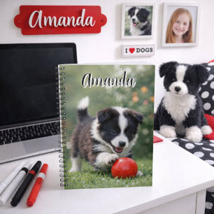 Cute Border Collie with Red Ball Notebook