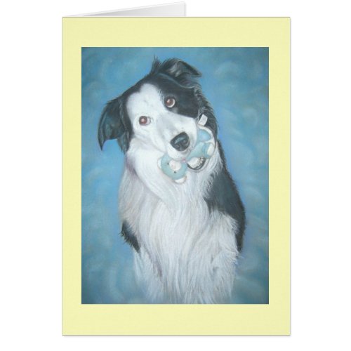 cute border collie with teddy dog missing you