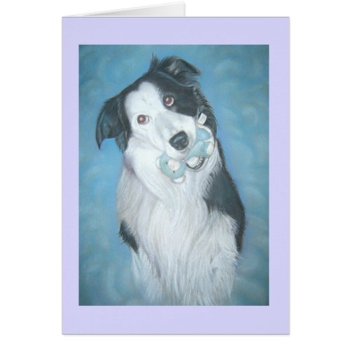 cute border collie with teddy dog thinking of you