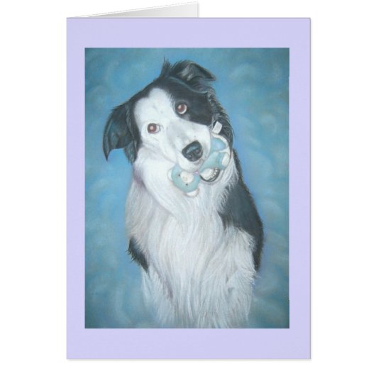 cute border collie with teddy dog thinking of you cards (Front)