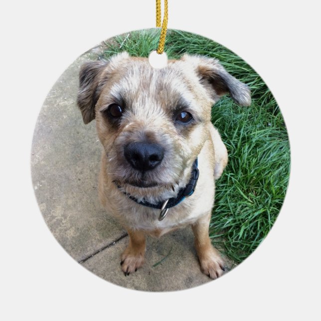 Cute border terrier ceramic ornament (Front)