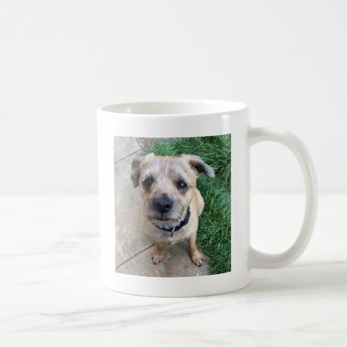 Cute border terrier coffee mug
