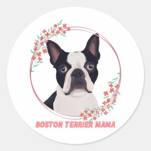 Cute Boston Terrier - Boston Terrier Mama Classic Round Sticker