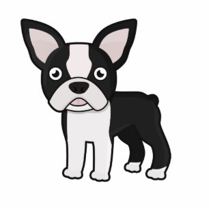 Cute Boston Terrier Cutout