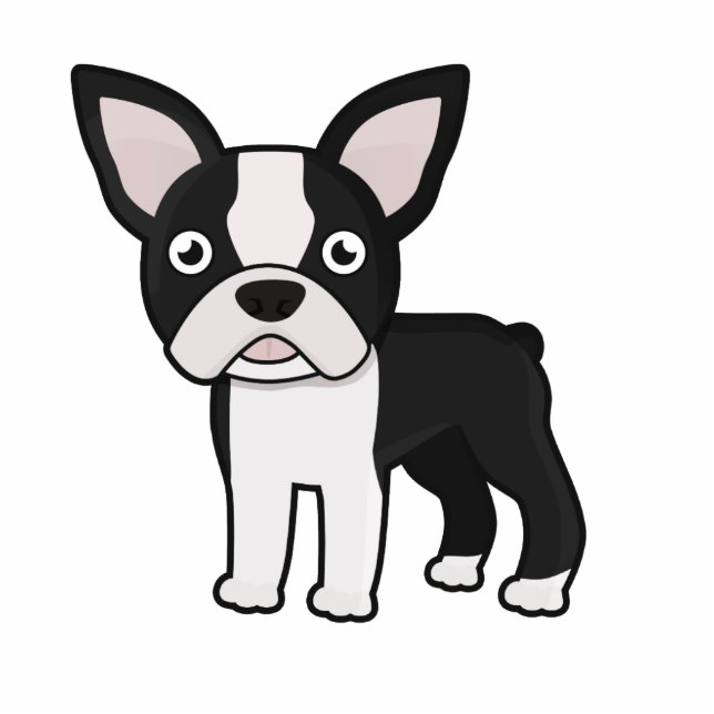 Cute Boston Terrier Cutout (Front)