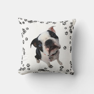 Cute boston terrier dog decorative pillow