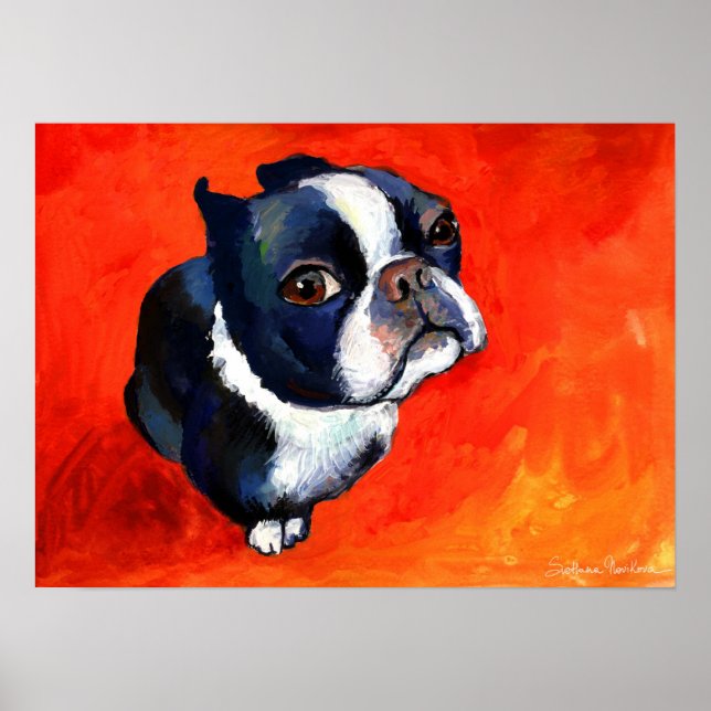 Cute Boston Terrier Dog painting Svetlana Novikova Poster (Front)
