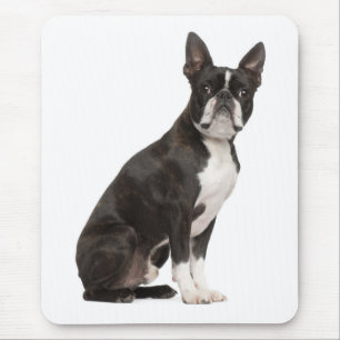 Cute Boston Terrier Gift Puppy Dog Lover Mouse Pad