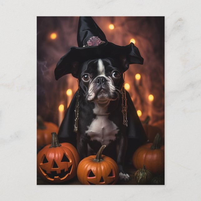 Cute Boston Terrier Halloween Postcard (Front)