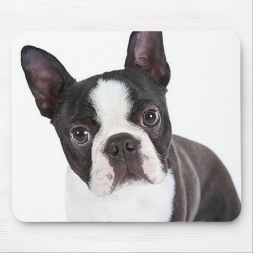 Cute Boston Terrier Mom Puppy Funny Dog Lover Mouse Pad