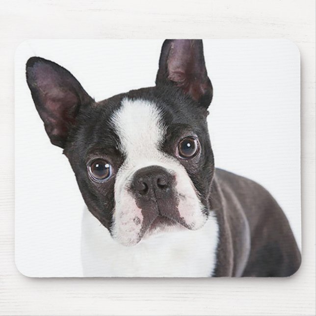 Cute Boston Terrier Mom Puppy Funny Dog Lover Mouse Pad (Front)
