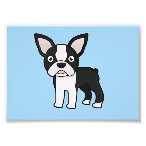 Cute Boston Terrier Photo Print