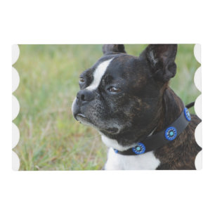 Cute Boston Terrier Placemat
