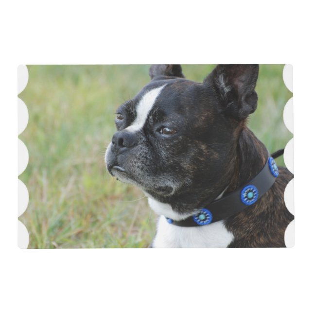 Cute Boston Terrier Placemat (Back)