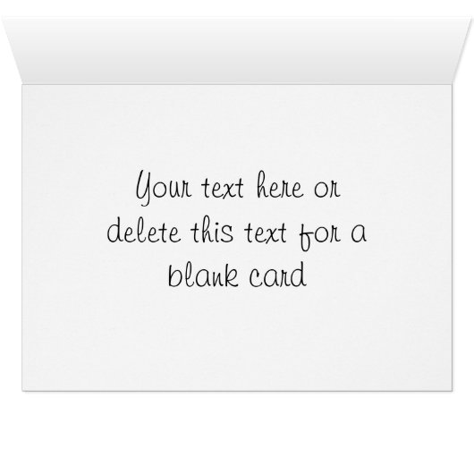 Cute Boston Terrier Puppy (Inside Horizontal (Bottom))