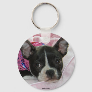 Cute Boston Terrier Puppy Keychain