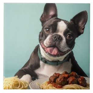 Cute Boston Terrier With Spaghetti Bolognaise Ceramic Tile