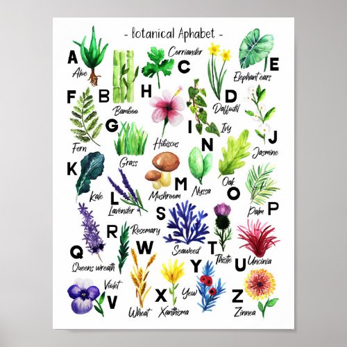 Cute Botanical Flowers Alphabet Baby Nursery Poster