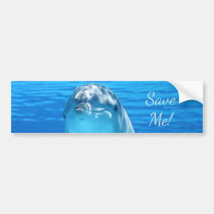 Cute Bottlenose Dolphin underwater Bumper Sticker