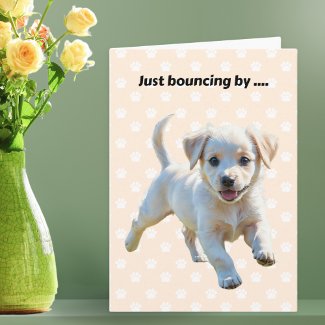Cute Bouncing Puppy Get Well